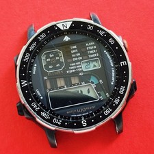 Citizen Windsurfer Watch