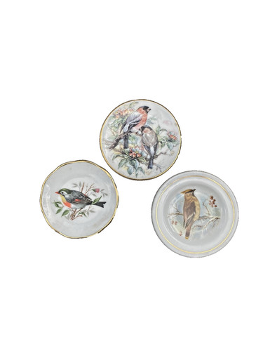 Set vintage bird plates - bird,
