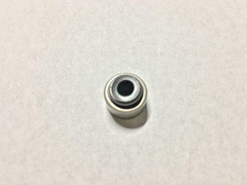 Suction exhaust valve guide - exhaust,