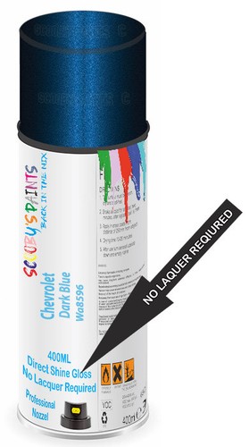 Aerosol spray paint for - spray,