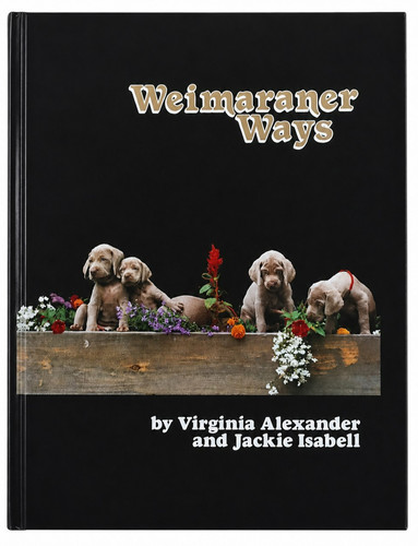Weimaraner ways virginia - by,