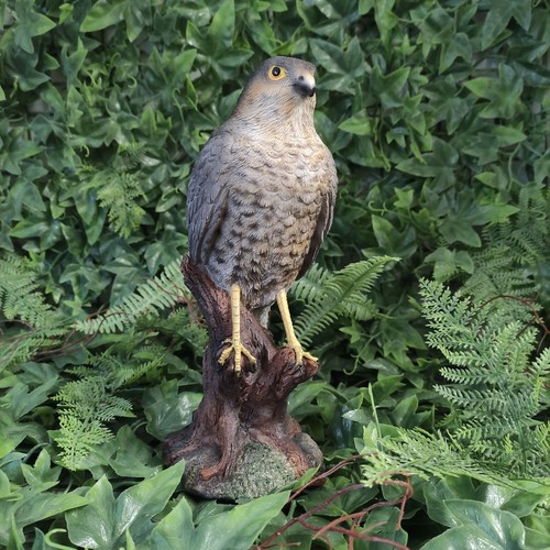 Vivid arts sparrow hawk - vivid, resin