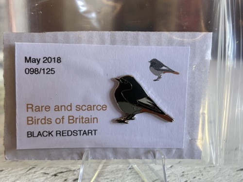 Rspb interest black redstart - rspb,