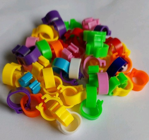 100 poultry clip leg - -,