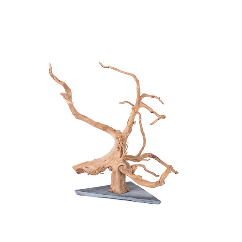 Natural large spider wood - large,