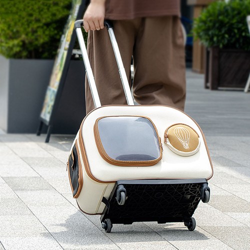 Cat carrier with - cat, large