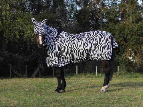 Light zebra fly rug complete - zebra,