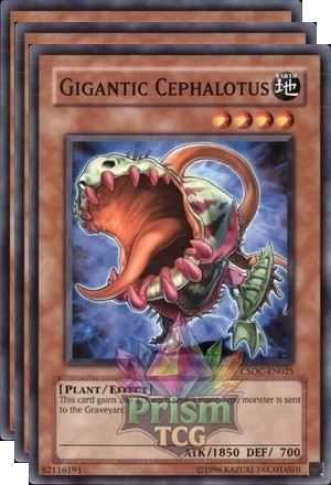 Playset gigantic cephalotus - playset,