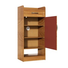 Stylish Wood Shoe Cabinet