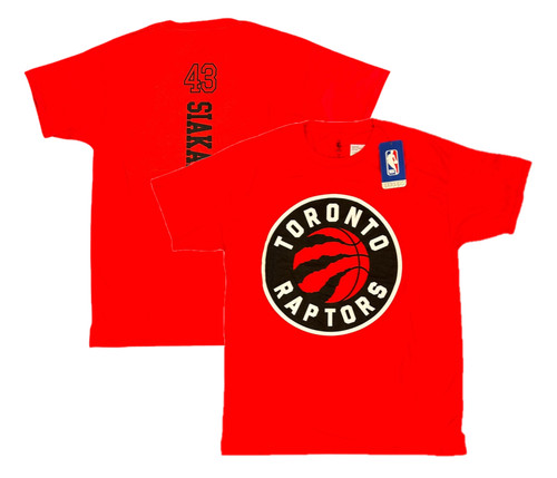 Toronto raptors basketball - toronto,