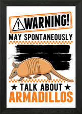 Armadillo Gift Framed Wall Art
