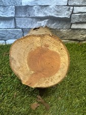 30 Year Air Dried Yew Wood