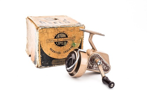 Boxed young ambidex - -,