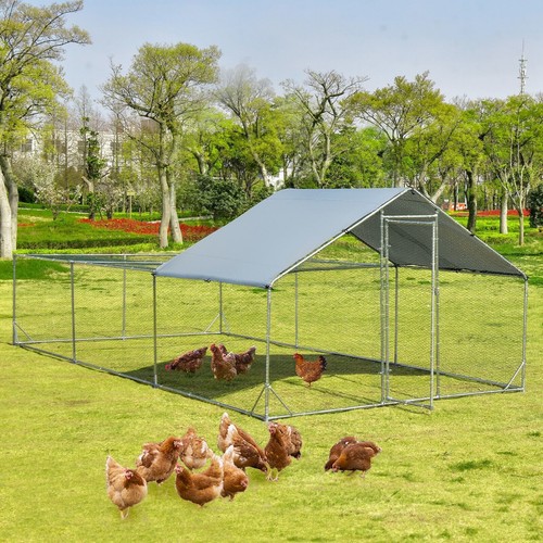 Large chicken run coop - large,