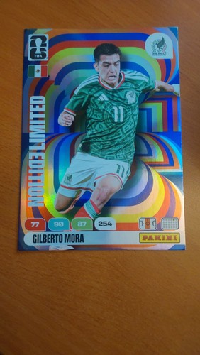 Panini adrenalyn fifa world - xl,