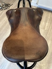 Equips Expression Jumping Saddle 16.5