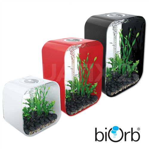 Biorb life aquarium - aquarium, all