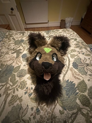 Full partial fursuit - full, head