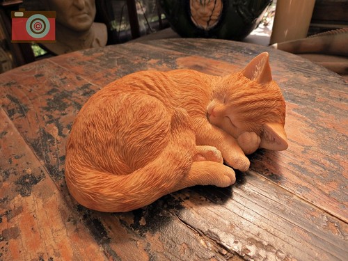 Sleeping ginger cat - ginger, /