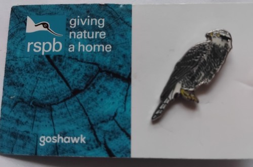 Rspb pin badge - of, goshawk
