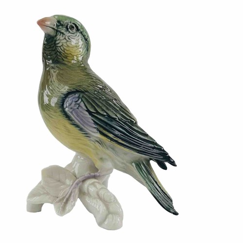 Karl ens bird parrot finch - ens,