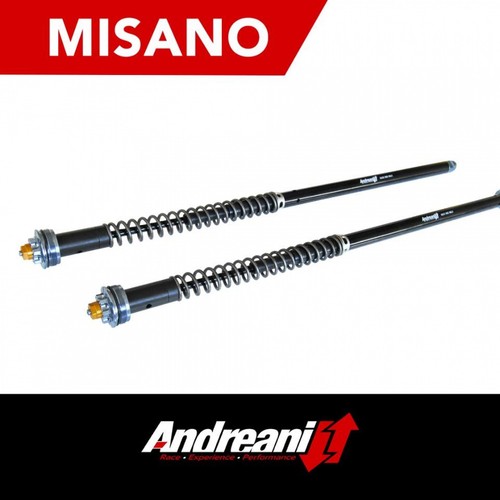 Andreani misano fork - andreani,