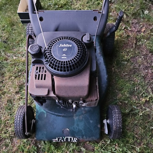 Hayter jubilee lawn - lawn,