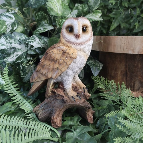 Barn owl real life ornament - owl, by