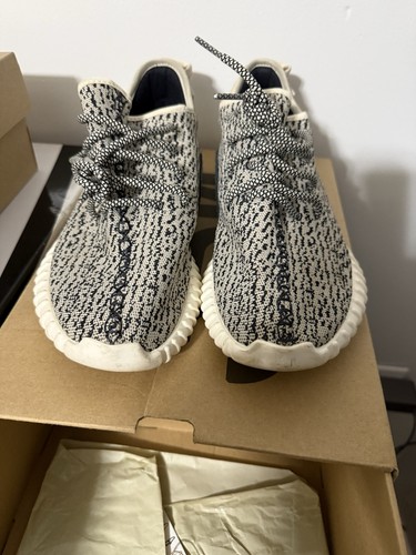 Turtle dove size 2022 - turtle, 9.5