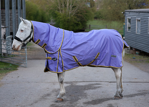 Fill combo turnout rug with - combo,