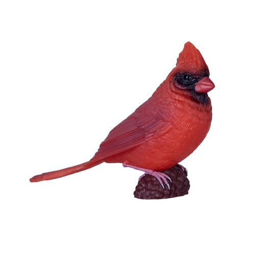 Mojo red cardinal - mojo, wild