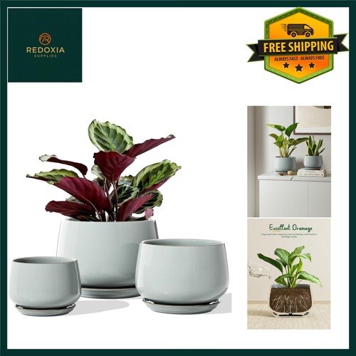 Elegant reactive glaze ceramic - elegant,