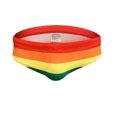 Pride rainbow swimming shorts