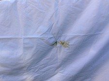 Zara at Home yellow flower sprig embroidered duvet cover 240 x 220cm