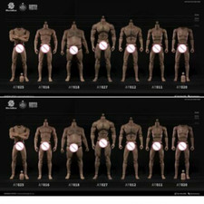 WorldBox 1/6 Male Muscular Body Asian Strong Fat Slim For 12" Action Figure Toys