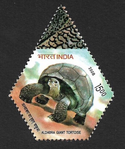 India 2008 aldabra giant - aldabra,