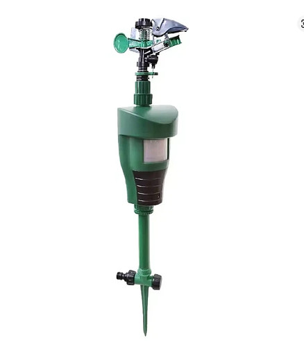 Motion sprinkler animal - motion,
