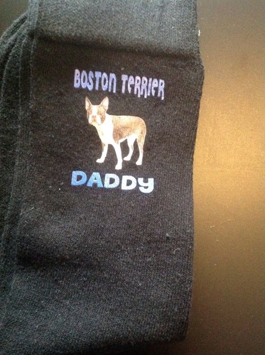 Gift bag boston - terrier, daddy
