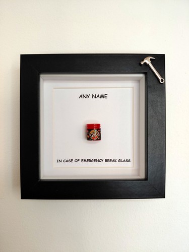 Fun novelty case - fun,