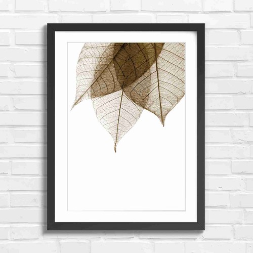 Vein pattern botanical - vein,