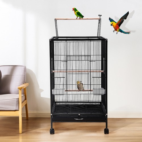 Bird cage open - open, parrot
