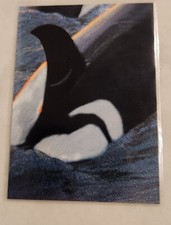 Free Willy The Movie 1995