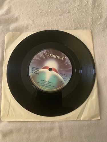 Shakin stevens and the - shakin',