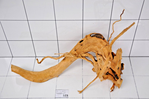 Premium aquarium natural wood - aquarium,
