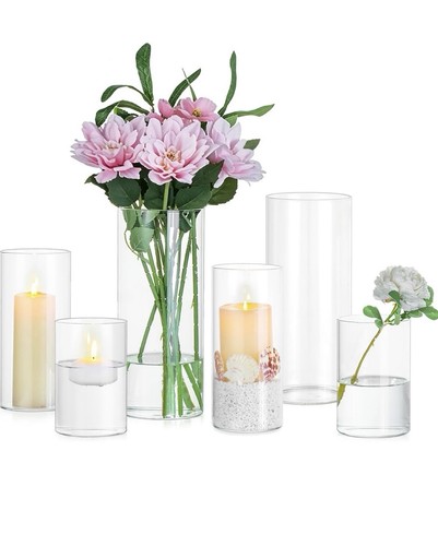 Glass cylinder vase for - glass,