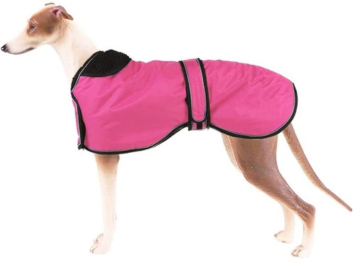Bnip new whippet iggy - whippet, 15"