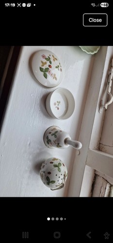 Wedgwood wild strawberry bone - wild,