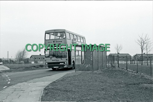 35mm neg northern - , mcw