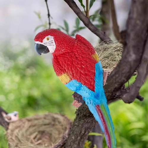 Metal parrot outdoor - parrot,