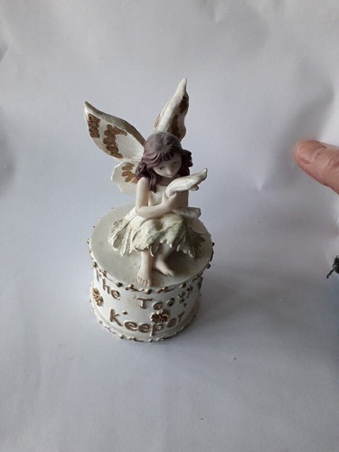 The tooth fairy regency - tooth,
